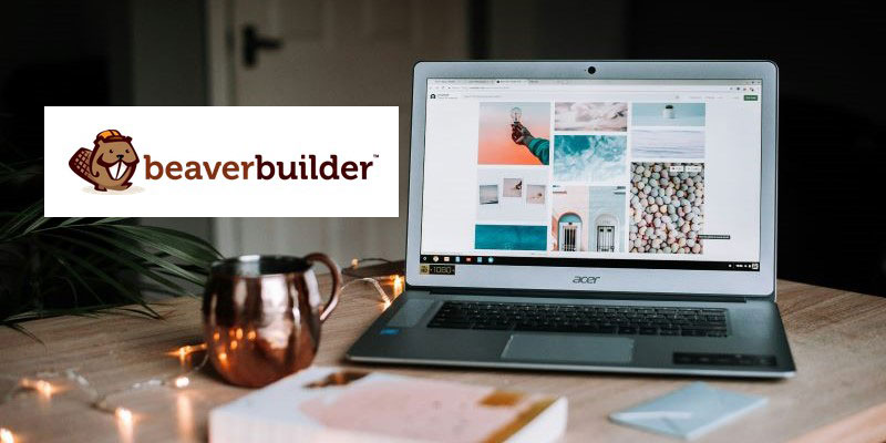 WordPress beaver builder review