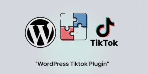TikTok Feed and Pixel WordPress Plugins
