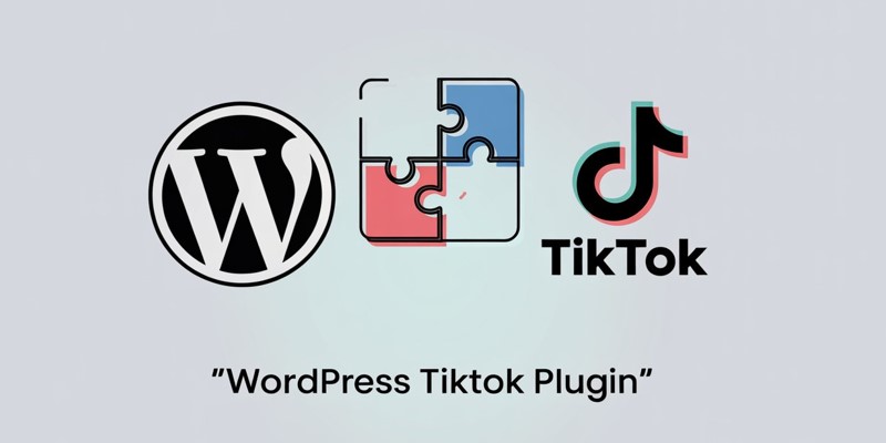 TikTok Feed and Pixel WordPress Plugins