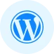 WordPress Customization